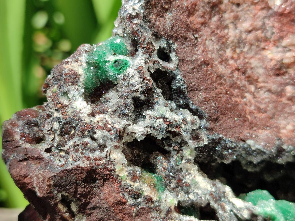 Natural XL Drusy Quartz Coated Ball Malachite On Dolomite Specimen x 1 From Mindingi Mine, Kambove, Congo
