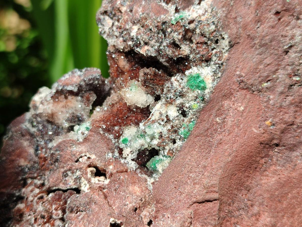 Natural XL Drusy Quartz Coated Ball Malachite On Dolomite Specimen x 1 From Mindingi Mine, Kambove, Congo