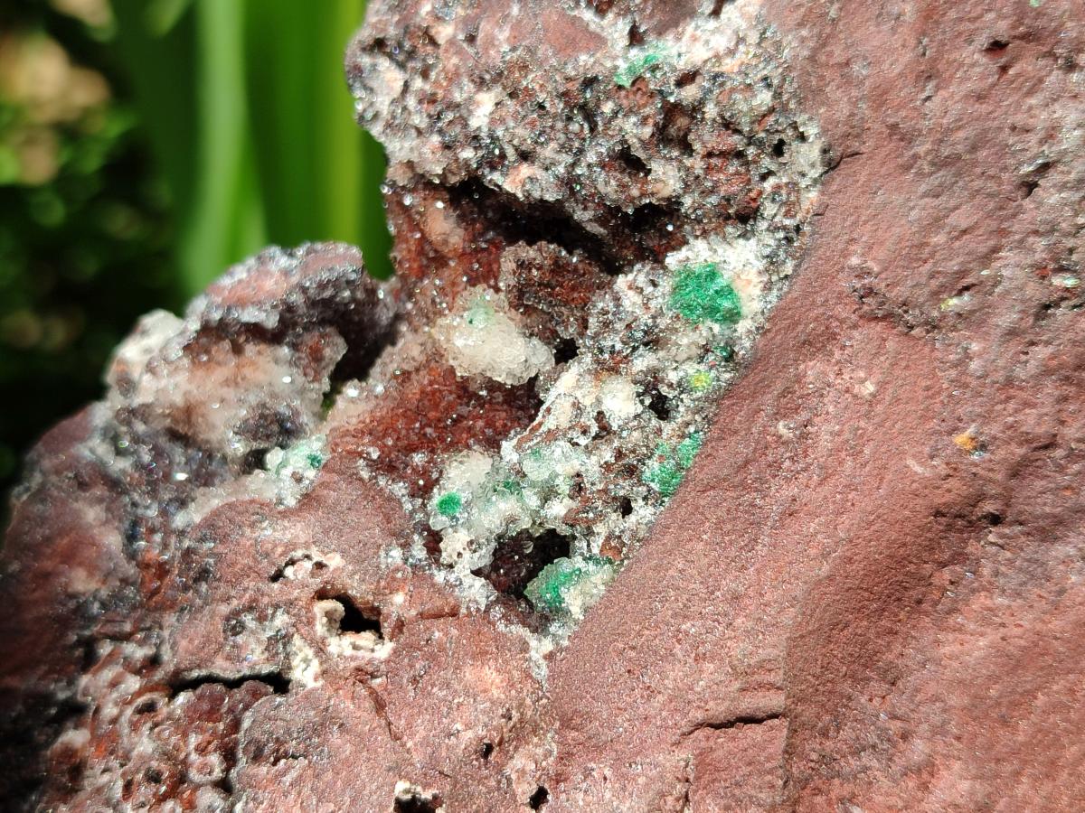Natural XL Drusy Quartz Coated Ball Malachite On Dolomite Specimen x 1 From Mindingi Mine, Kambove, Congo
