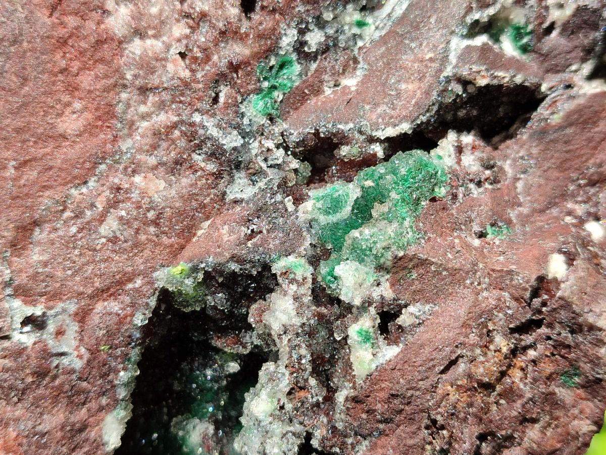 Natural XL Drusy Quartz Coated Ball Malachite On Dolomite Specimen x 1 From Mindingi Mine, Kambove, Congo