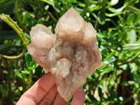 Natural Smokey Phantom Quartz Clusters x 6 From Luena, Congo