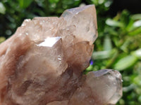 Natural Smokey Phantom Quartz Clusters x 6 From Luena, Congo