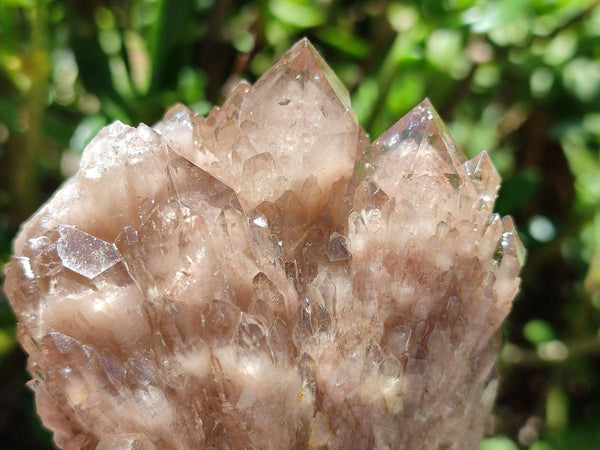 Natural Smokey Phantom Quartz Clusters x 6 From Luena, Congo