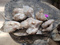 Natural Smokey Phantom Quartz Clusters x 6 From Luena, Congo