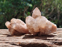 Natural Smokey Phantom Quartz Clusters x 6 From Luena, Congo