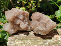 Natural Smokey Phantom Quartz Clusters x 6 From Luena, Congo