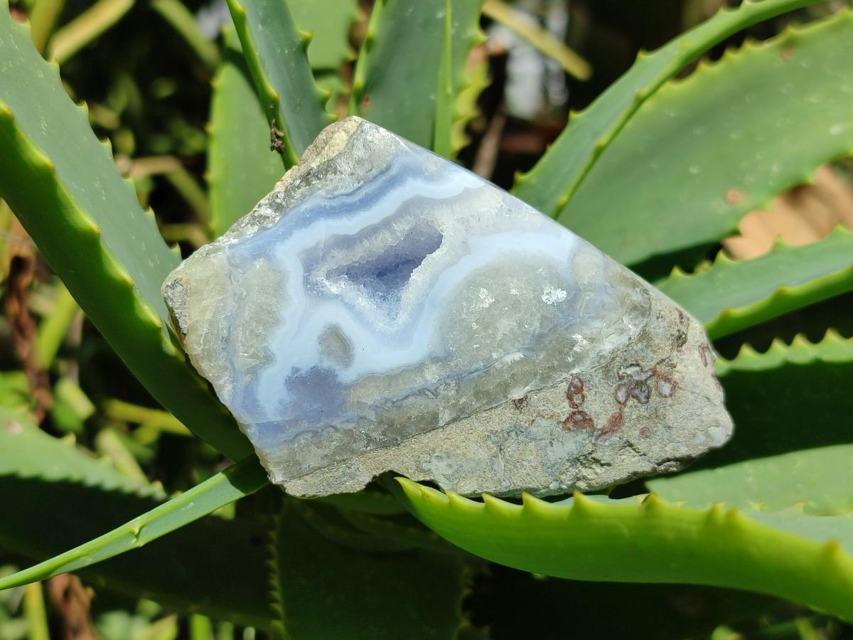 Polished On One Side Blue Lace Agate Geodes x 12 From Nsanje, Malawi
