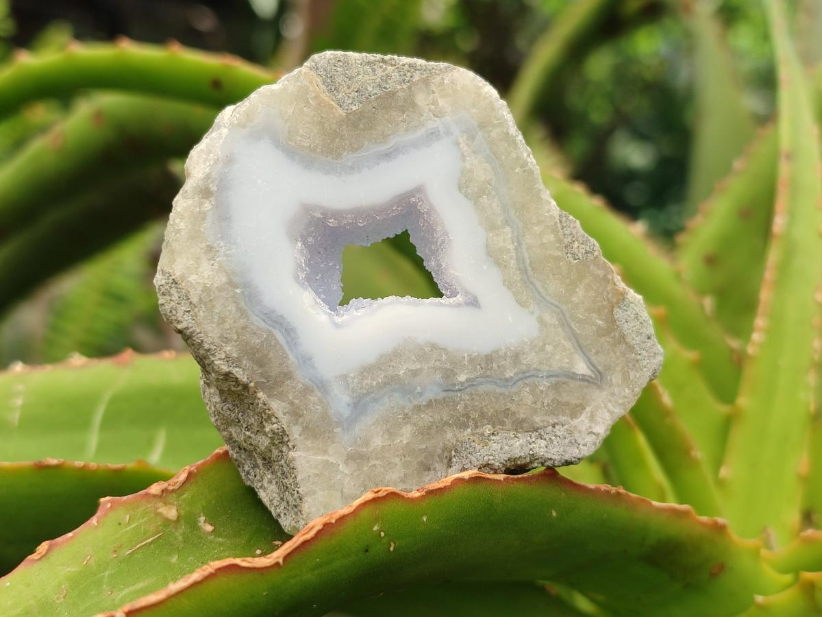 Polished On One Side Blue Lace Agate Geodes x 12 From Nsanje, Malawi