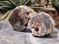 Polished On One Side Petrified Wood Branches x 4 From Gokwe, Zimbabwe