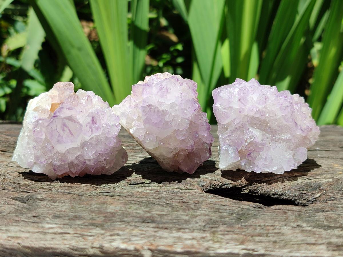 Natural Sunburst Amethyst Spirit Clusters And Crystals x 12 From Boekenhouthoek, South Africa