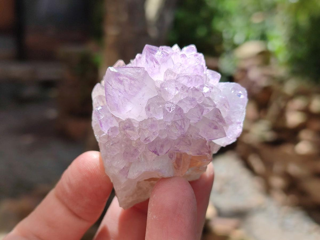 Natural Sunburst Amethyst Spirit Clusters And Crystals x 12 From Boekenhouthoek, South Africa
