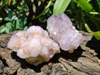 Natural Sunburst Amethyst Spirit Clusters And Crystals x 12 From Boekenhouthoek, South Africa