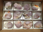 Natural Sunburst Amethyst Spirit Clusters And Crystals x 12 From Boekenhouthoek, South Africa