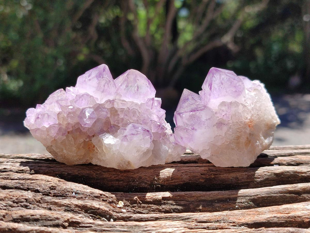 Natural Sunburst Amethyst Spirit Clusters And Crystals x 12 From Boekenhouthoek, South Africa