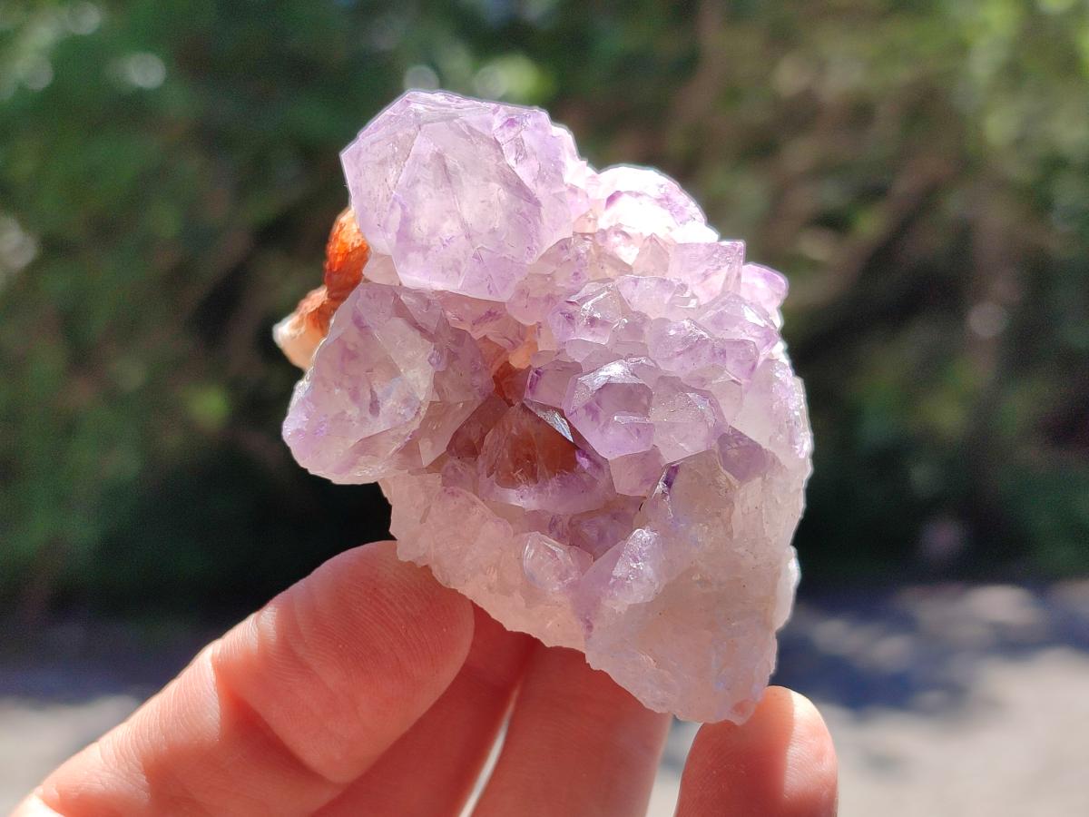 Natural Sunburst Amethyst Spirit Clusters And Crystals x 12 From Boekenhouthoek, South Africa