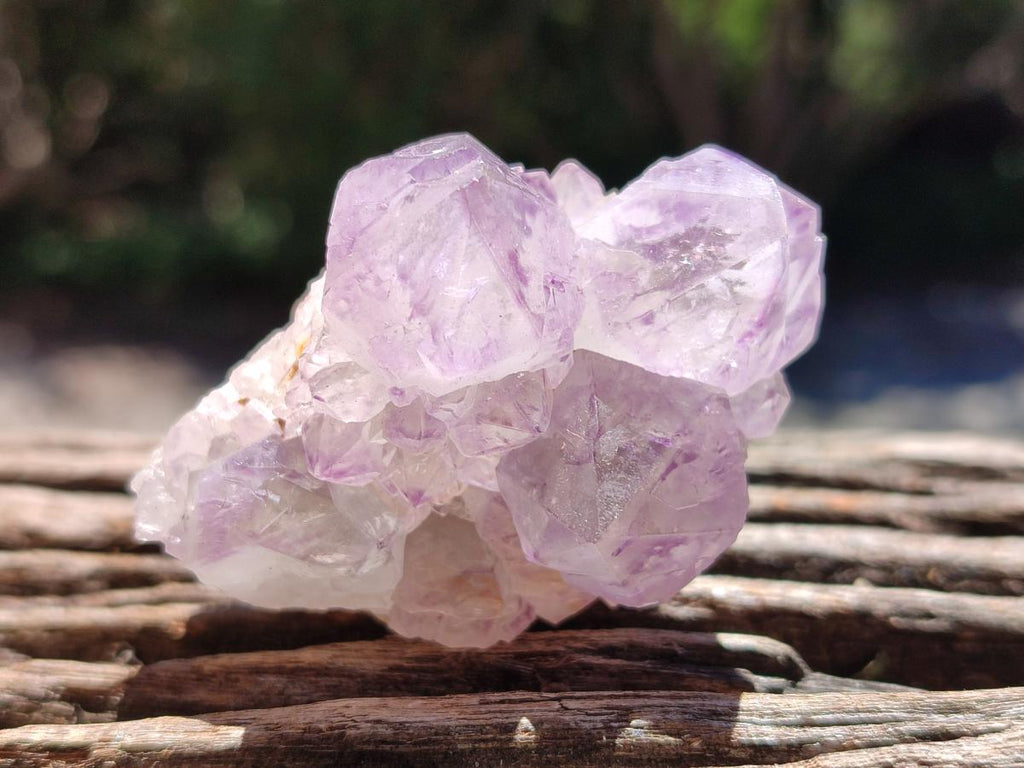 Natural Sunburst Amethyst Spirit Clusters And Crystals x 12 From Boekenhouthoek, South Africa