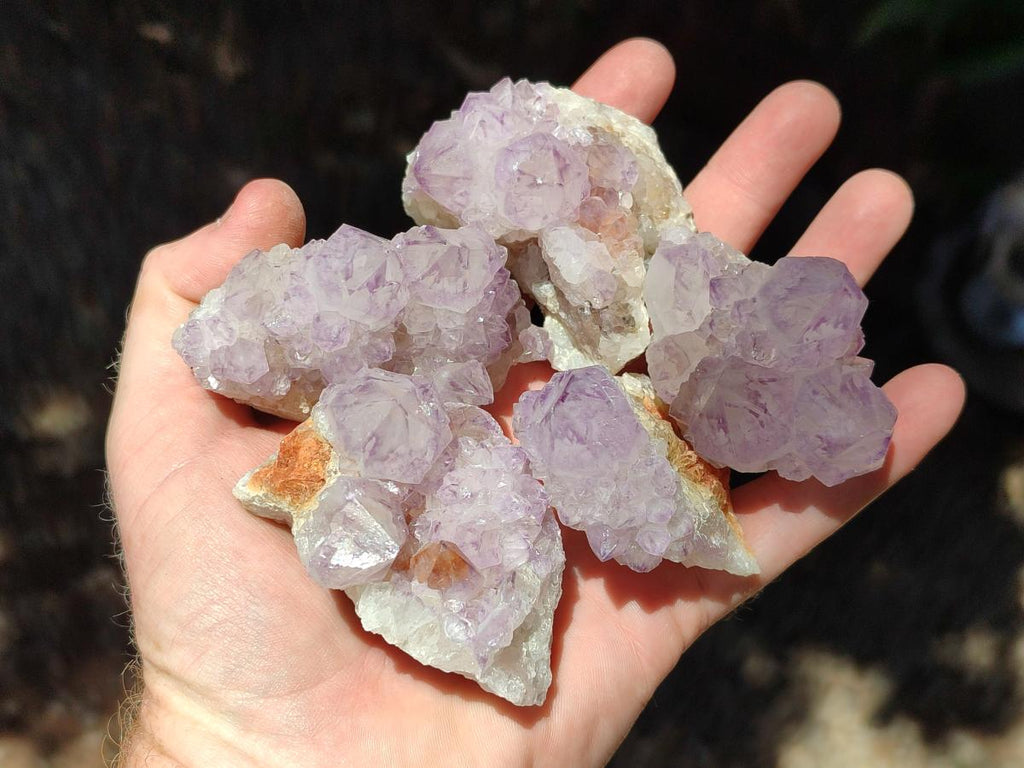 Natural Sunburst Amethyst Spirit Clusters And Crystals x 12 From Boekenhouthoek, South Africa