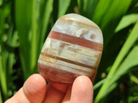 Polished Red Shashe River Agate Free Forms x 12 From Shashe River, Zimbabwe