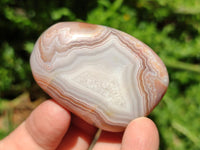 Polished Red Shashe River Agate Free Forms x 12 From Shashe River, Zimbabwe