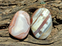 Polished Red Shashe River Agate Free Forms x 12 From Shashe River, Zimbabwe
