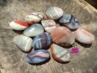 Polished Red Shashe River Agate Free Forms x 12 From Shashe River, Zimbabwe