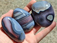 Polished Red Shashe River Agate Free Forms x 12 From Shashe River, Zimbabwe