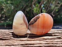 Polished Red Shashe River Agate Free Forms x 12 From Shashe River, Zimbabwe