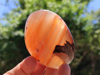 Polished Red Shashe River Agate Free Forms x 12 From Shashe River, Zimbabwe