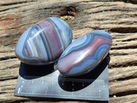 Polished Red Shashe River Agate Free Forms x 12 From Shashe River, Zimbabwe