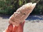 Natural Drusy Quartz Coated Calcite Pseudomorph Spearhead Specimens x 12 From Albert's Mountain, Lesotho