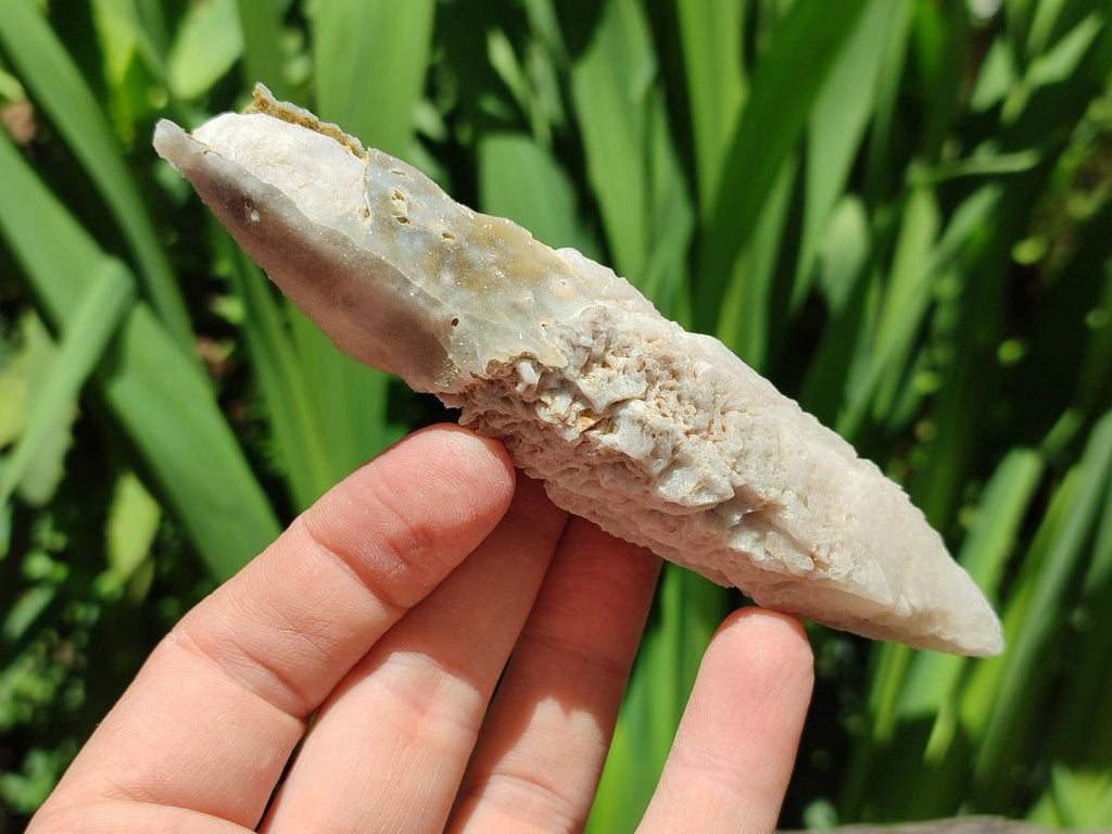 Natural Drusy Quartz Coated Calcite Pseudomorph Spearhead Specimens x 12 From Albert's Mountain, Lesotho