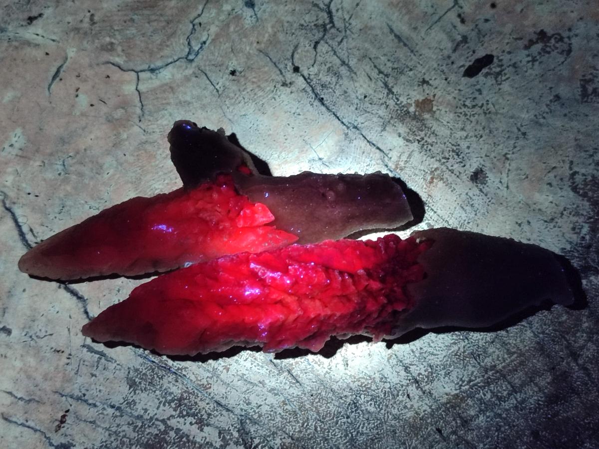 Natural Drusy Quartz Coated Calcite Pseudomorph Spearhead Specimens x 12 From Albert's Mountain, Lesotho