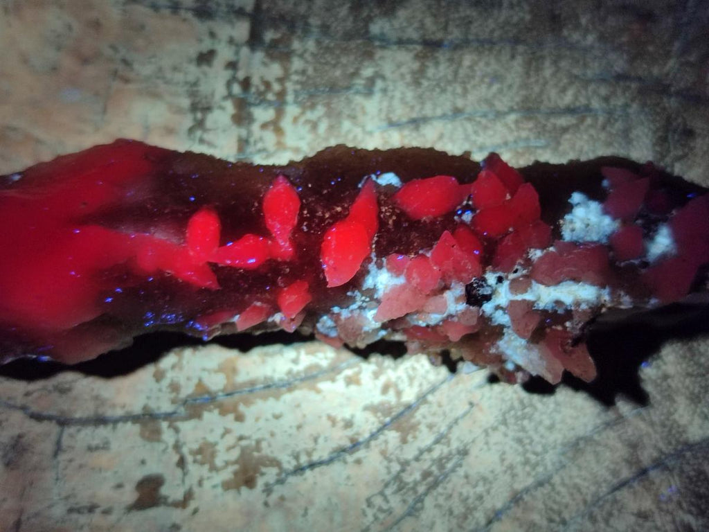 Natural Drusy Quartz Coated Calcite Pseudomorph Spearhead Specimens x 12 From Albert's Mountain, Lesotho