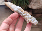 Natural Drusy Quartz Coated Calcite Pseudomorph Spearhead Specimens x 12 From Albert's Mountain, Lesotho