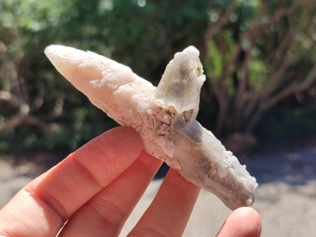 Natural Drusy Quartz Coated Calcite Pseudomorph Spearhead Specimens x 12 From Albert's Mountain, Lesotho