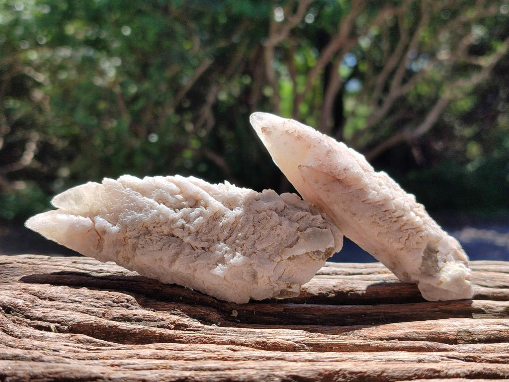 Natural Drusy Quartz Coated Calcite Pseudomorph Spearhead Specimens x 12 From Albert's Mountain, Lesotho