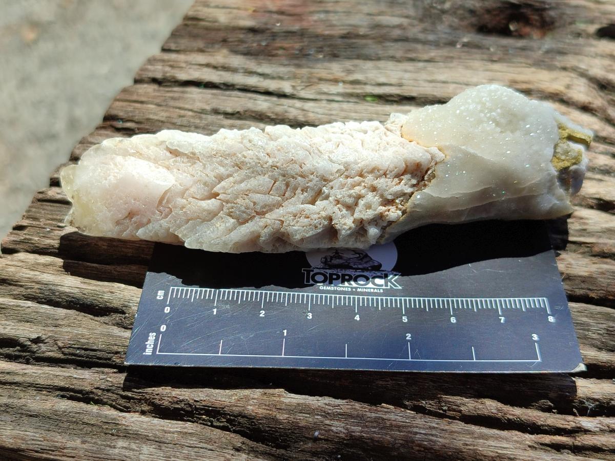 Natural Drusy Quartz Coated Calcite Pseudomorph Spearhead Specimens x 12 From Albert's Mountain, Lesotho
