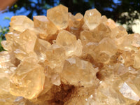 Natural XXL Rare Clear Champagne Citrine Quartz Cluster x 1 From Luena, Congo