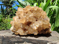 Natural XXL Rare Clear Champagne Citrine Quartz Cluster x 1 From Luena, Congo