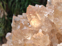 Natural XXL Rare Clear Champagne Citrine Quartz Cluster x 1 From Luena, Congo