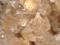 Natural XXL Rare Clear Champagne Citrine Quartz Cluster x 1 From Luena, Congo