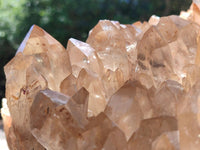 Natural XXL Rare Clear Champagne Citrine Quartz Cluster x 1 From Luena, Congo