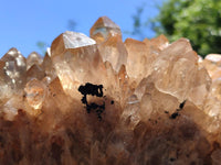 Natural XXL Rare Clear Champagne Citrine Quartz Cluster x 1 From Luena, Congo