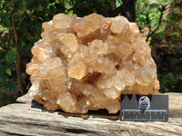 Natural XXL Rare Clear Champagne Citrine Quartz Cluster x 1 From Luena, Congo