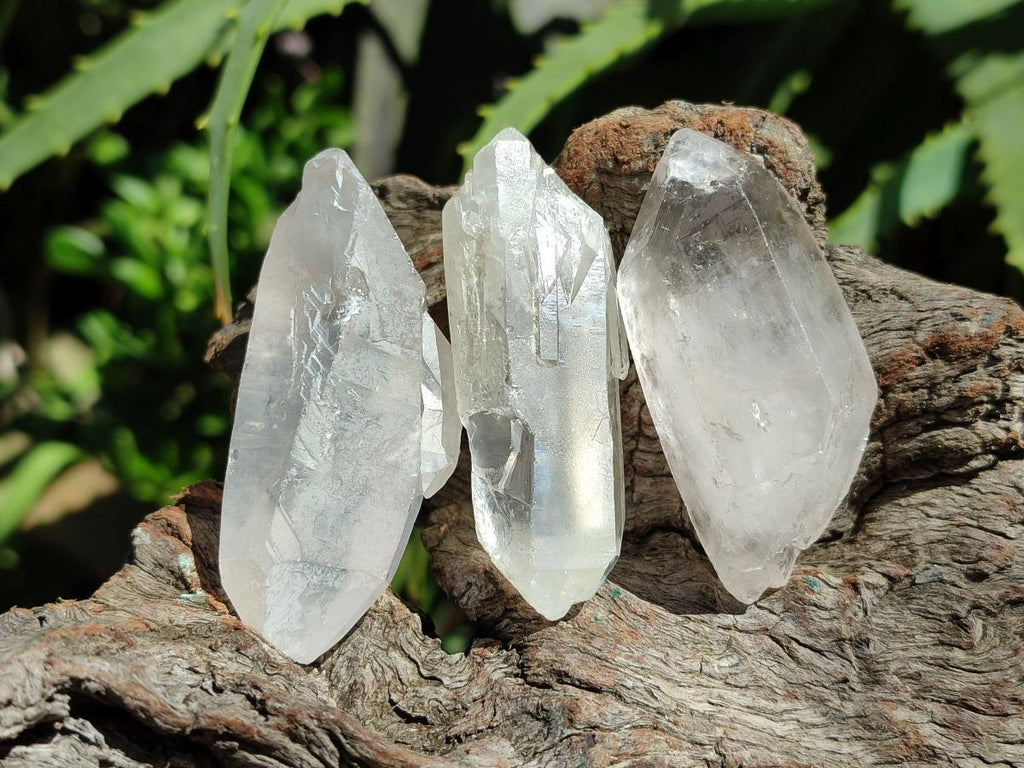 Natural Clear Quartz Crystals x 35 From Madagascar