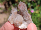 Natural Limonite Fairy Spirit Quartz Crystals x 70 From Boekenhouthoek, South Africa
