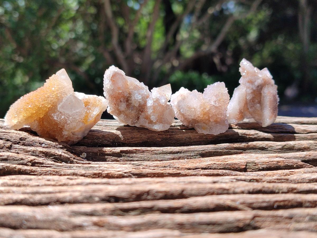 Natural Limonite Fairy Spirit Quartz Crystals x 70 From Boekenhouthoek, South Africa