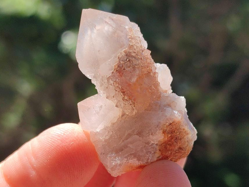 Natural Limonite Fairy Spirit Quartz Crystals x 70 From Boekenhouthoek, South Africa