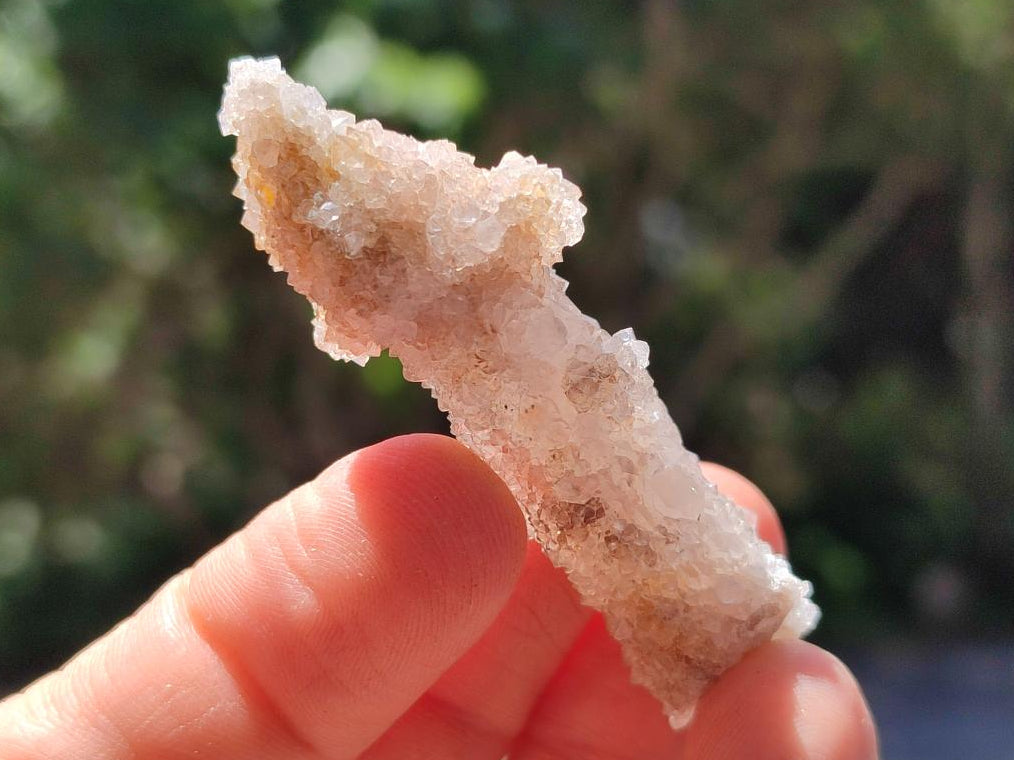 Natural Limonite Fairy Spirit Quartz Crystals x 70 From Boekenhouthoek, South Africa
