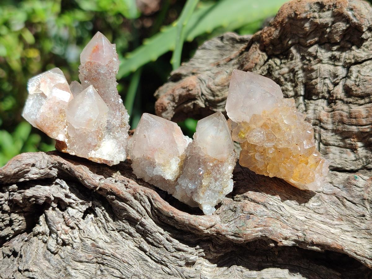 Natural Limonite Fairy Spirit Quartz Crystals x 70 From Boekenhouthoek, South Africa